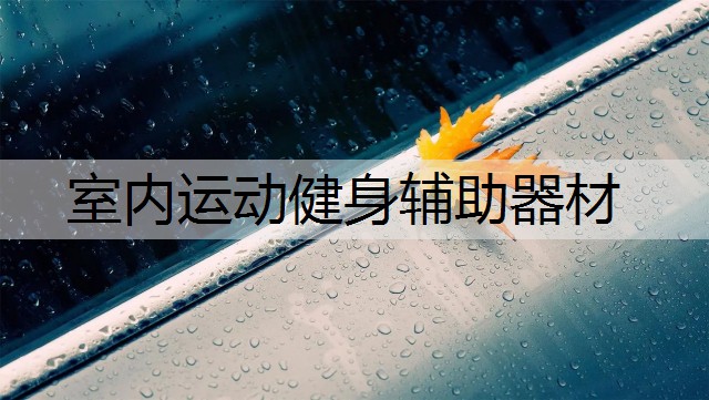 室内运动健身辅助器材