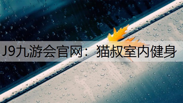 猫叔室内健身