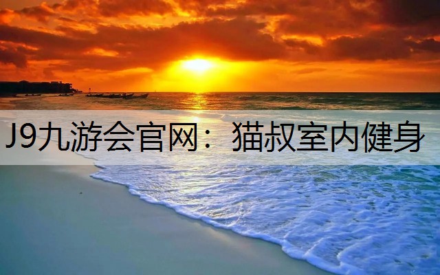 猫叔室内健身