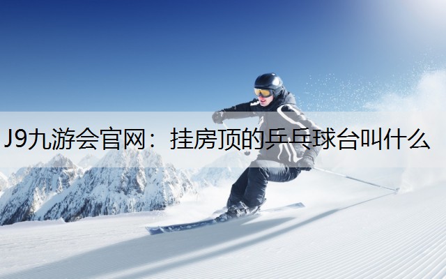 挂房顶的乒乓球台叫什么