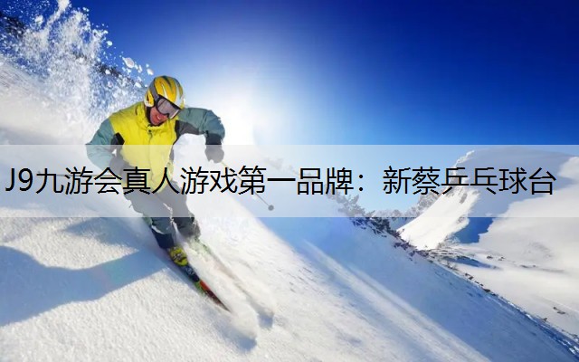 新蔡乒乓球台