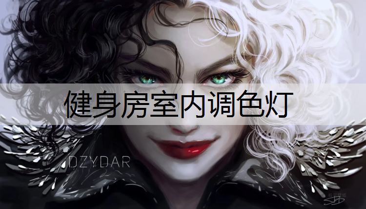 健身房室内调色灯