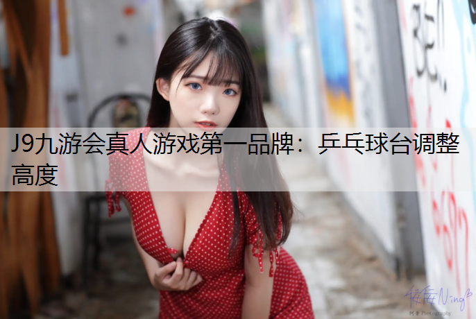 乒乓球台调整高度