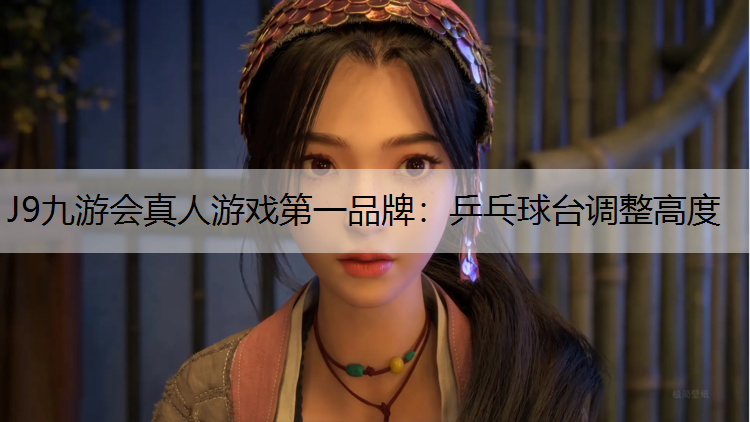 乒乓球台调整高度
