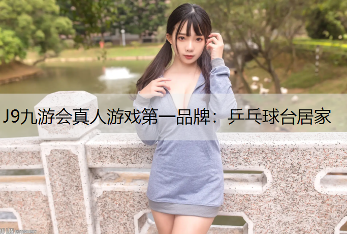乒乓球台居家