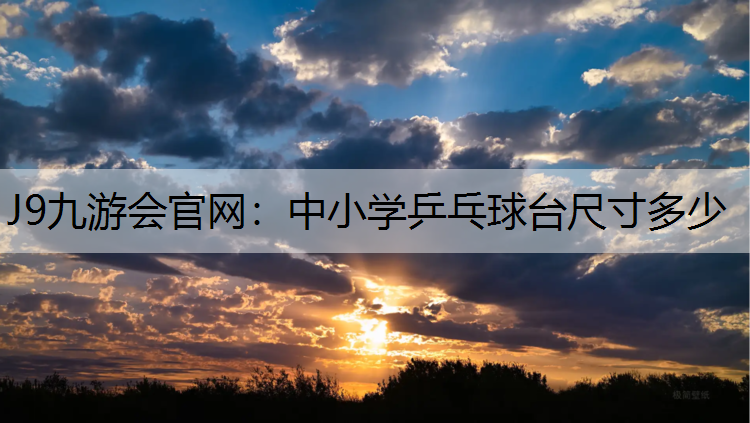 中小学乒乓球台尺寸多少