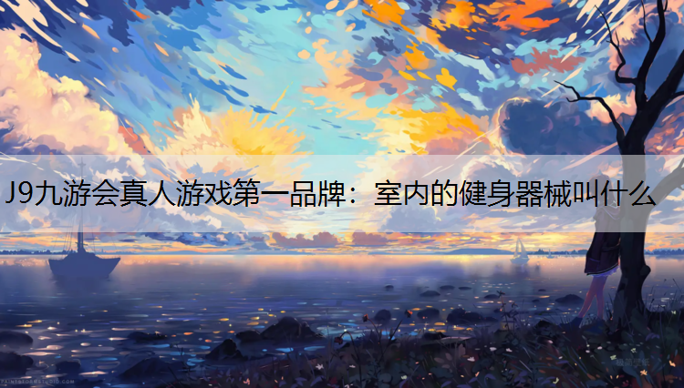 室内的健身器械叫什么